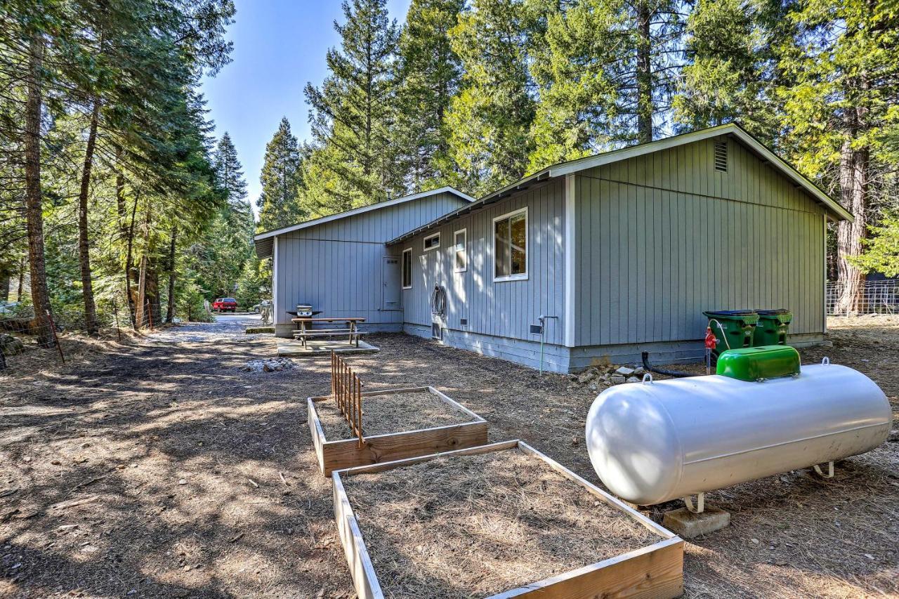 Base Camp Lassen Home 13 Mi To Volcanic Natl Park Shingletown Exterior foto